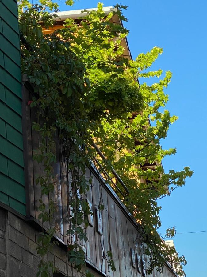 Hotel Zillners Einkehr *** Altheim Esterno foto